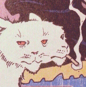 Meet your Posher, Taylor